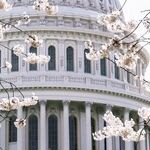 The Moral Blanks at the Center of Our Government