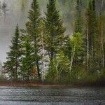Climate Bill Should Please Anyone Who Can Be Pleased