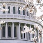 Time for Democrats to Primary AOC