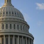 They Voted Big 'D' Democrats to Save Small 'd' Democracy