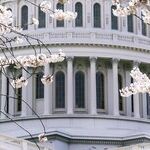 Democrats Should Not Have Wanted Omar on that Committee