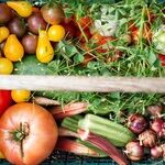 All Food on the Table Comes from a Farm. Right?