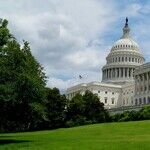 Democrats Need to Cooperate Only When That Matters