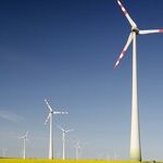 Don't Want Green Energy Jobs? We'll Take Them