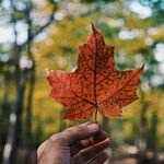Canada Proves It Is Not Boring