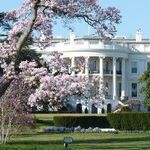 The 'Smart' Party and the 'Dumb' Party