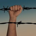 Eyes on the Progressives