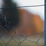Biden's Border Crisis: Criminals, COVID-19 and Congestion