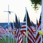 A Veterans Day Salute From Two Aging Vets