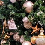 Our 2021 Christmas Message: 'Fear Not!'