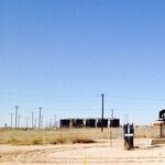 Biden's Deadly Energy Policy