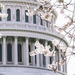 Are You Watching the Jan. 6 Hearings?