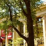 The Bonfire of the Academies