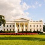 The All-Trump Election