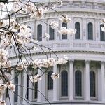 GOP Voters Prefer to Think Elections Are Corrupt