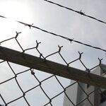 Broken Border, Dysfunctional Government