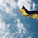 Trump Tells Zelenskyy He's Gambling on World War III
