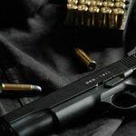 Actor Mel Gibson Wants His Gun Rights Back