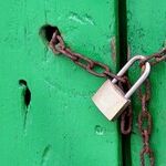 The Other Side of Legalized Theft