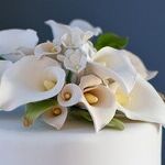 SCOTUS May Yet Approve Gay Wedding Cake Demands