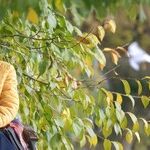 A Scientific Review Shows the CDC Grossly Exaggerated the Evidence Supporting Mask Mandates: The Analysis Found That Wearing Masks in Public 'Probably Makes Little or No Difference'