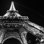Is Liberal Democracy an Endangered Species?