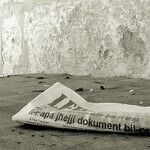 Nixon's Revenge: The Fall of the Adversary Press