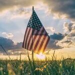 Is Diversity a Root Cause of Dual Loyalty?