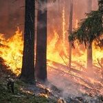 What's Behind Our World on Fire?