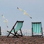 Are Americans All-In for a Long Coronavirus War?