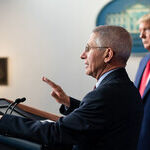 Fauci vs. Trump -- Who's Right?