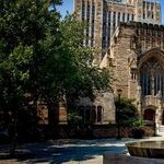 The Progressive Racism of the Ivy League