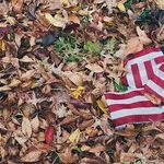 Can a Disintegrating America Come Together?