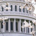 Why the Left Can't Let Go of Jan. 6