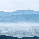 Who Won the Taiwan War Games?