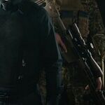 Immigration Fairy Tales