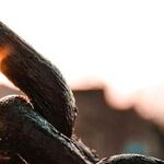 Rethink the Supply Chain