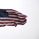 Democracy's Last Stand