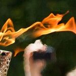 Snuff Out the Torch