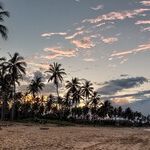 Zika's Threat to a City Near You