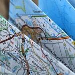 Road Map for Tax Reform