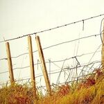Count on Migrants From the World Over to Exploit U.S. Immigration Laws