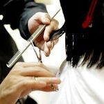 Licensing Requirements Killing Jobs