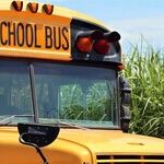 Justices Ask Whether Left's Wokeness Should Be the Only Religion Allowed in Public Schools