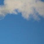 The Zero Carbon Flimflam