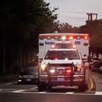 Free Health Insurance For Migrants Is Lunacy