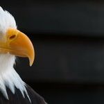 Time for the GOP to Use the Power They Were Given