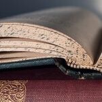 The Tyranny of the Elites