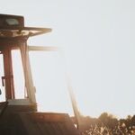 Giving Thanks for a System That Creates Prosperity -- and Leftovers