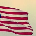 Political Hysteria Has Grave Consequences